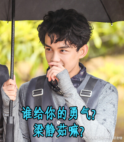 我们不大象。吴情吴义兄弟