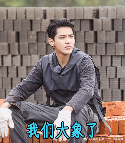 我们不大象。吴情吴义兄弟