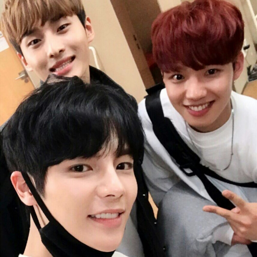 林煐岷尹龙彬金成理