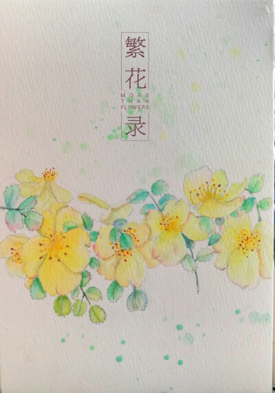 水彩手绘 绘画 治愈系 小清新
花 黄花 花卉 绿叶 玫瑰花
约稿QQ84664514