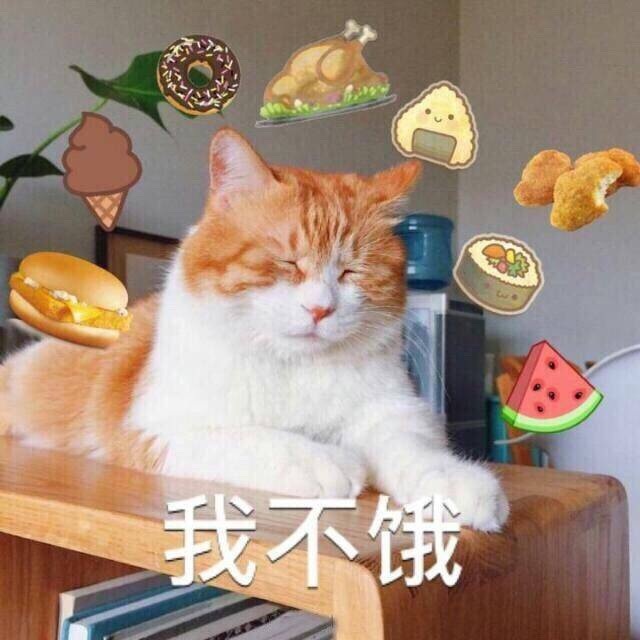 我不饿 - 高清图片，堆糖，美图壁纸兴趣社区