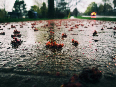 雨与落花
我开始把lofter上的搬来堆糖啦~
lofter：太阳先生√