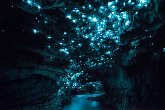 【怀托摩萤火虫洞】怀托摩萤火虫洞(Waitomo Cave，也称萤火虫洞、怀托摩洞，位于新西兰的怀卡托的怀托摩溶洞地区，因其地下溶洞现象而闻名。地面下石灰岩层构成了一系列庞大的溶洞系统，由各式的钟乳石和石笋以及萤火虫来点缀装饰。**萤火虫在幼虫期不仅能发光，还能分泌附有水珠般黏液的细丝，洞内昆虫循光而来，撞到丝上就动弹不得。