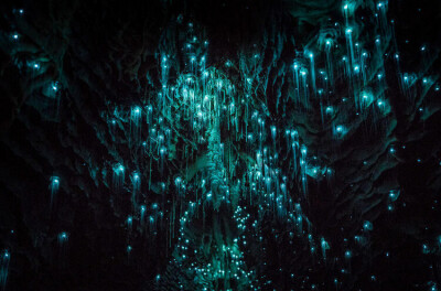 【怀托摩萤火虫洞】怀托摩萤火虫洞(Waitomo Cave，也称萤火虫洞、怀托摩洞，位于新西兰的怀卡托的怀托摩溶洞地区，因其地下溶洞现象而闻名。地面下石灰岩层构成了一系列庞大的溶洞系统，由各式的钟乳石和石笋以及萤…