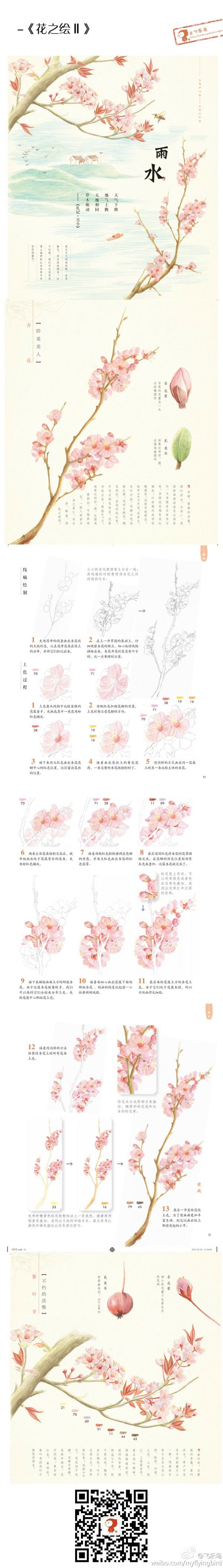 彩铅教程