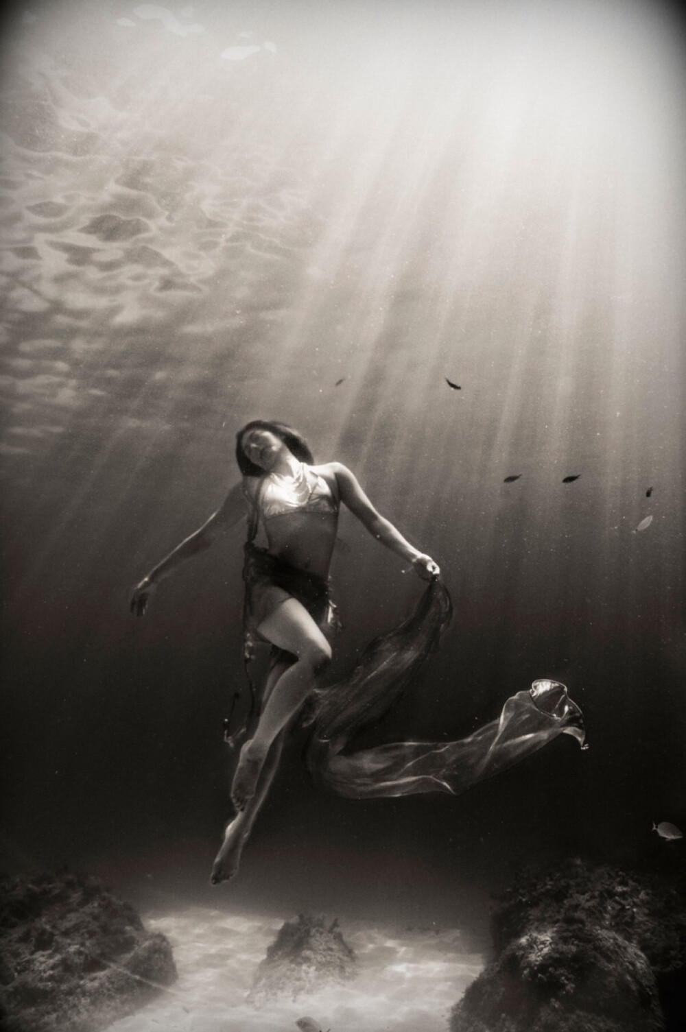 Kurt Arrigo/Mermaid