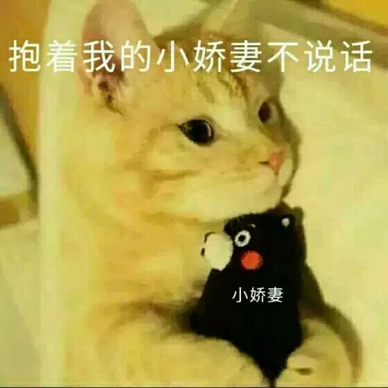 抱着我的小娇妻