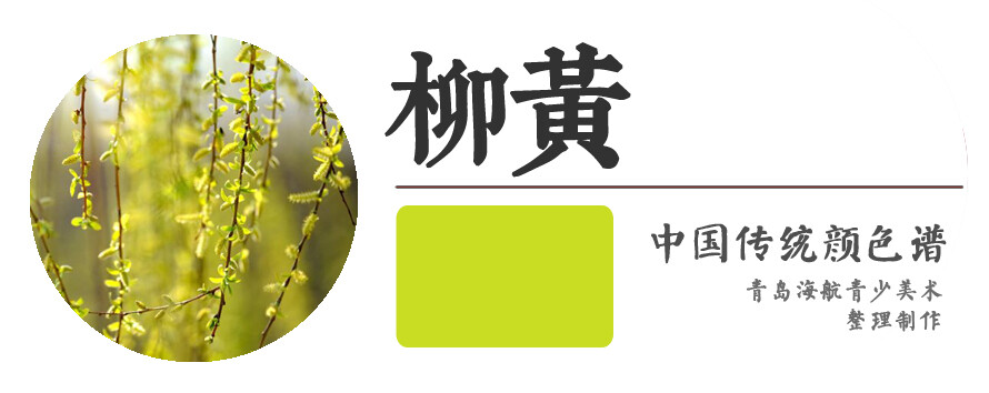 【柳黄】如柳嫩叶