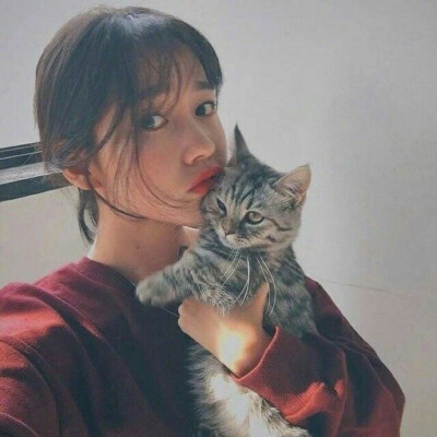 抱猫女头