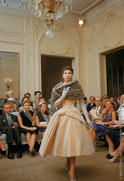 Salon Dior Cream Velvet Fur Stole. Photographed in 1954 for LIFE by Mark Shaw in the Dior Salon, buyers and other important guests view a model wearing a cream velvet tea length gown with fur stole. T…