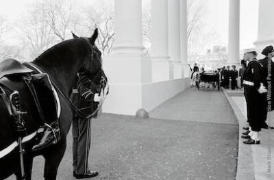 Riderless Horse with Backwards Boot