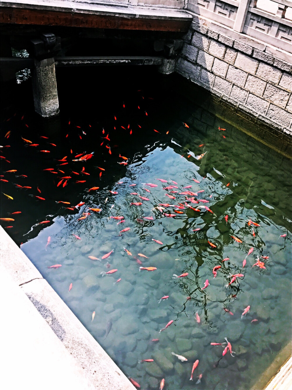 2017年6月11日 太原 晋祠