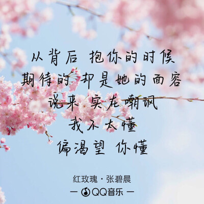 《红玫瑰》