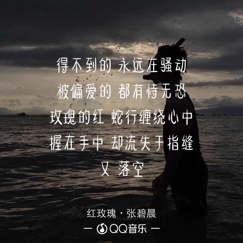 《红玫瑰》