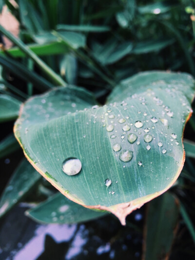 大雨