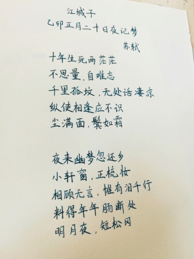 苏轼的词 江城子 十年生死两茫茫