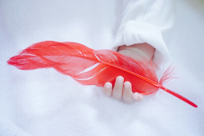 颜色鲜艳一点也很好看