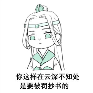 魔道祖师 表情包 x