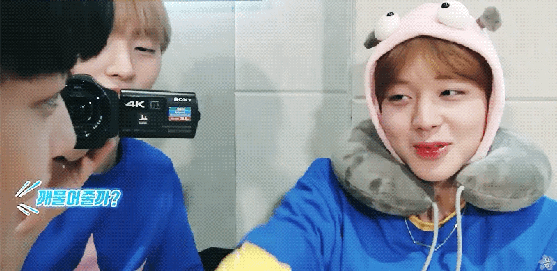 男版Produce101 Wanna One 朴智勋/朴志训 Wink小哥