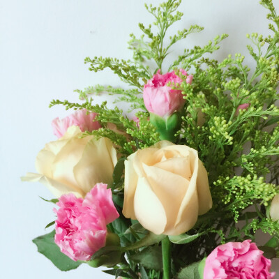 香槟玫瑰·康乃馨·黄莺