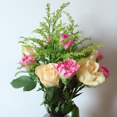 香槟玫瑰·康乃馨·黄莺