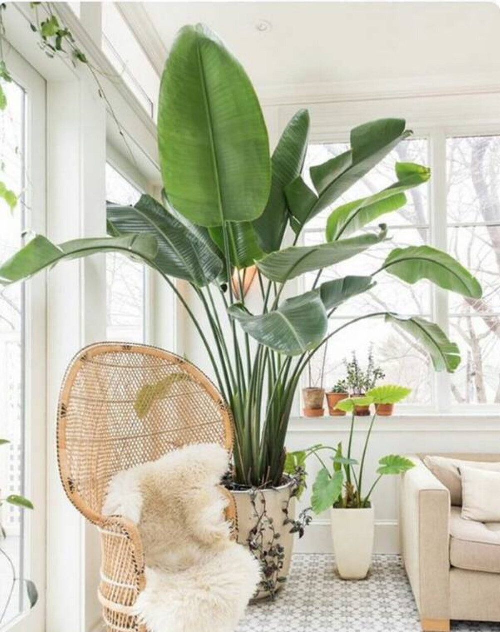 要想生活过得“趣”，家中必须带点“绿”