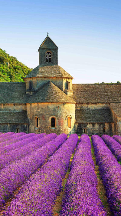 【法国南部——戈尔德小镇】
别错过隐藏在戈尔德郊外的塞南克修道院，你能在那里买到当地生产的蜂蜜、熏衣草精华和利口酒。©壹刻传媒