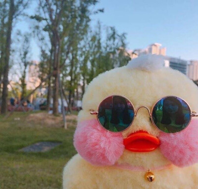 ♡ 小黄鸭