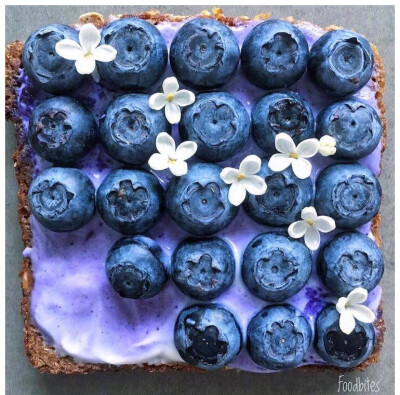 水果 蓝莓