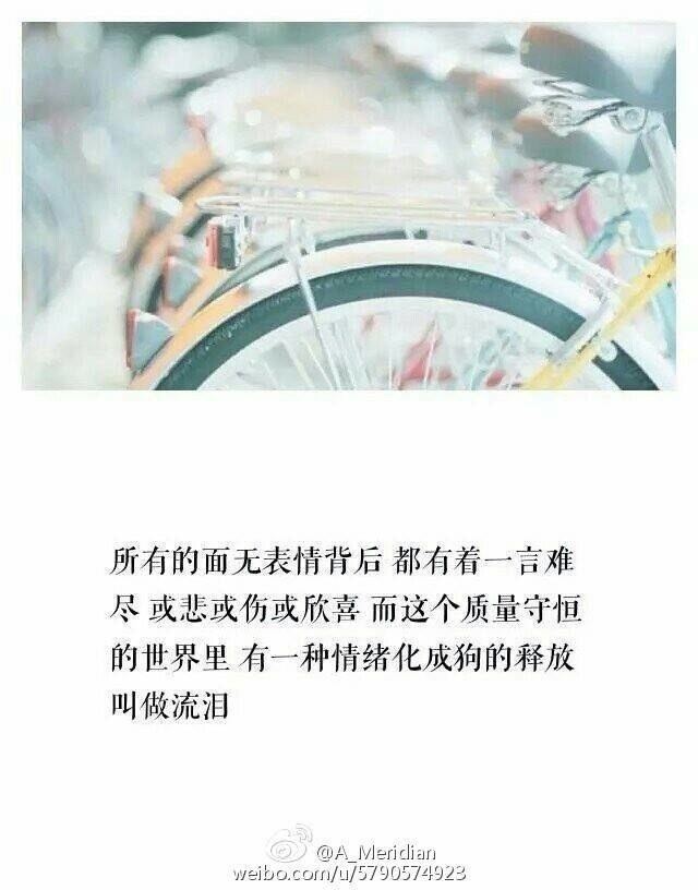 所有的面无表情背后 都有着一言难尽 或悲或伤或欣喜 而这个质量守恒的世界里 有一种情绪化成狗的释放 叫做流泪