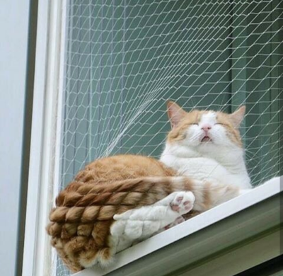 something could be.better