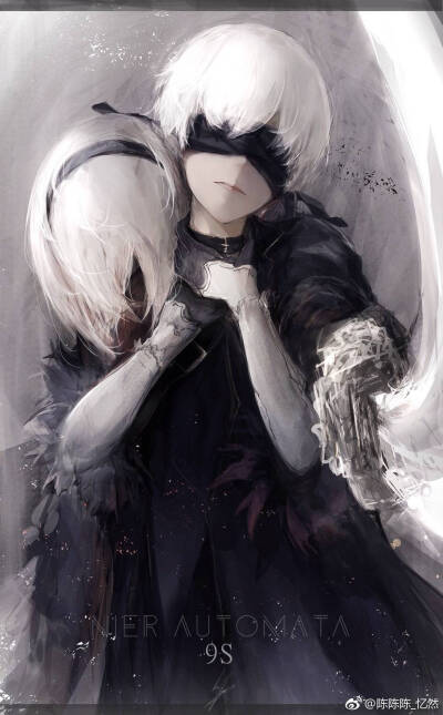 2b和9s