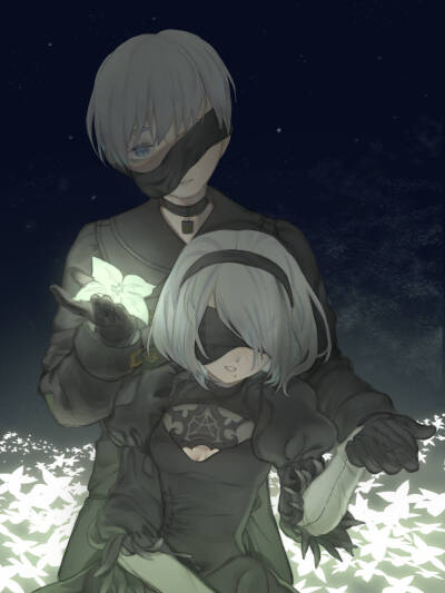 2b和9s