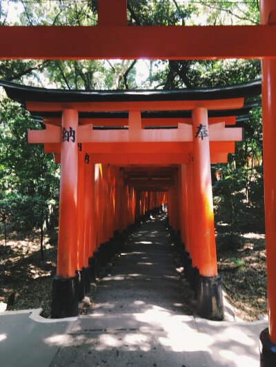 伏见稲荷神社