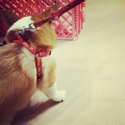 别忘了你本质是个爱笑的人。
