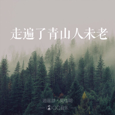 林毅心《逍遥游》吴佳明