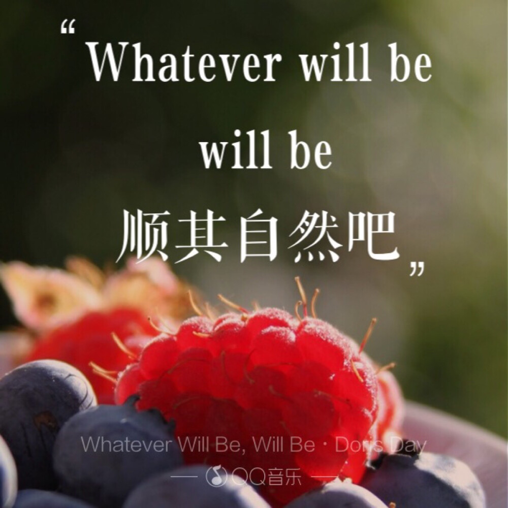 Evans，Livingston《whatever will be , will be》桃乐丝