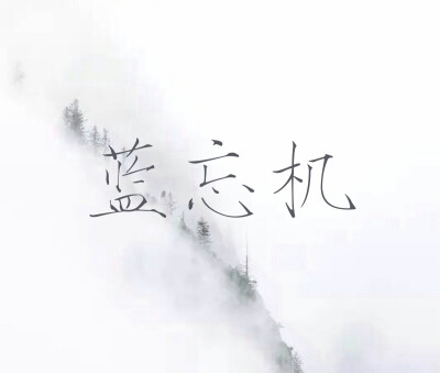 蓝忘机 魔道 原创禁二传