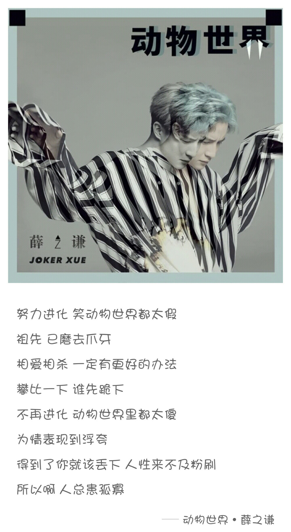 动物世界——薛之谦