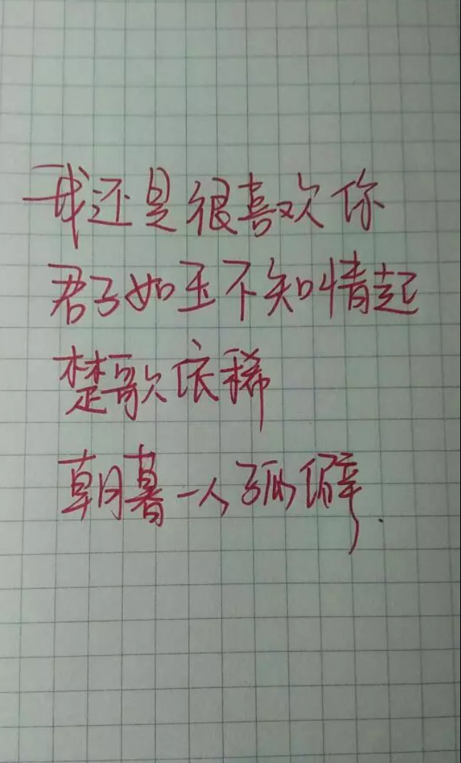 白柒