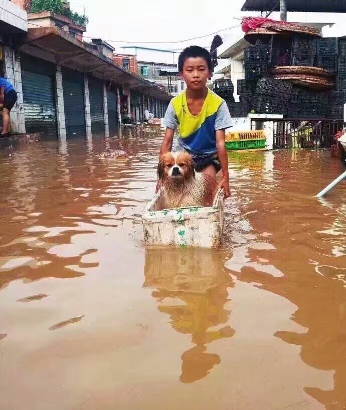 愿每个生命都能被这个世间温柔以待