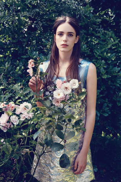 Stacy Martin