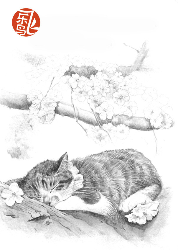 素描猫咪 飞乐鸟