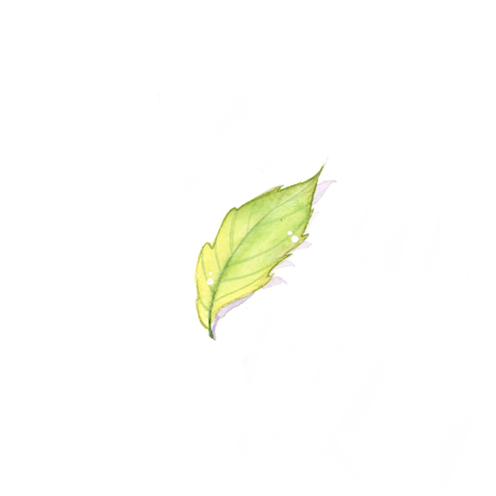 小清新 树叶 绿色 水彩 植物 插画