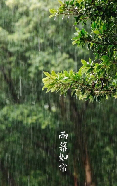 【中国节气：小满】夏靜风和，蝶飞蜓舞，荷叶如盖。雨幕如帘，苔痕染碧。桑葚红手，枇杷黄澄。沐汤单衣，日暮乘凉。
《月令七十二候集解》中说：四月中，小满者，物至于此小得盈满。 ​​​