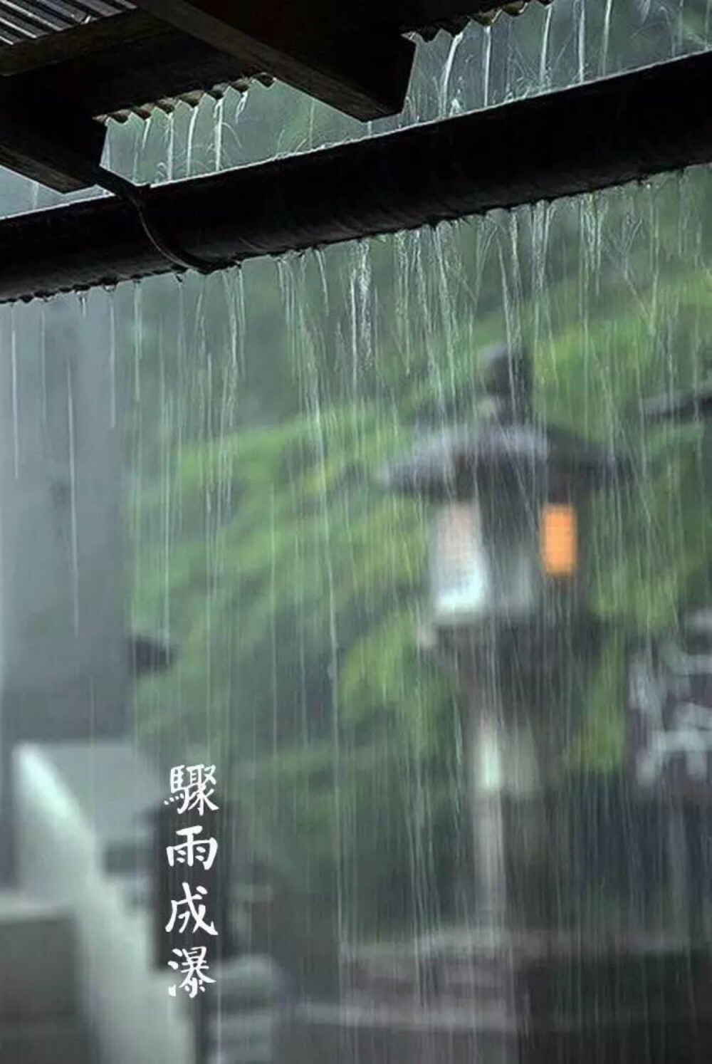 【中国节气：谷雨】青萍始生，浮鱼戏水。骤雨成瀑，落英犹香，夏燕筑巢。牡丹吐蕊，樱桃红熟。
一壶新茗，早睡早起。
《通纬·孝经援神契》：清明后十五日，斗指辰，为谷雨，三月中，言雨生百谷清净明洁也。 ​​​