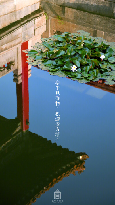 亭午息群物，独游爱方塘。（@故宫博物院）故宫 紫禁城 传统美学 中国 建筑