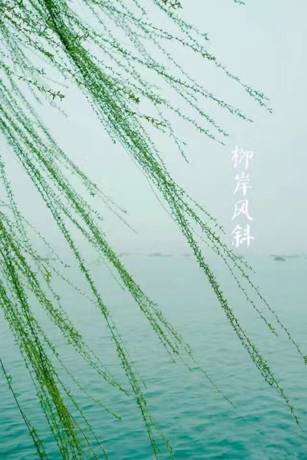 【中国节气：春分】春山浅黛，雷乃发声。柳岸风斜，鸳鸯浮水。画梁新燕，玉树春韶。青梅如豆，酿酒莳趣，深房贪枕。汉董仲舒《春秋繁露·阴阳出入上下篇》云：至于中春之月，阳在正东，阴在正西，谓之春分。春分者，阴阳相半也，故昼夜均而寒暑平。