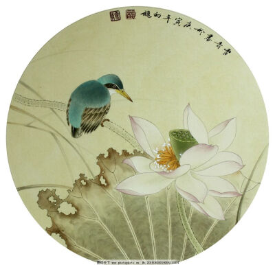 龚雪青高清花鸟工笔画