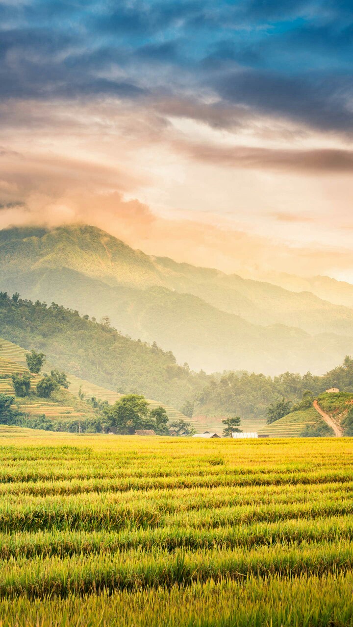 越南北与中国广西、云南接壤，自然环境优越，自古就是“海上丝绸之路”的必经之地。